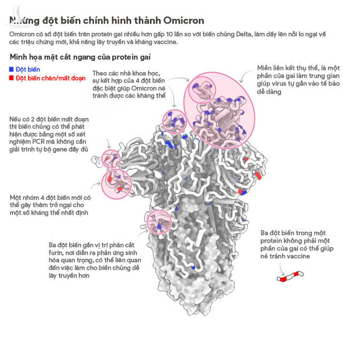 Ca nhiễm Omicron Đan Mạch, Anh lập “kỷ lục”