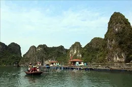 Kiên Giang khôi phục hoạt động du lịch nội địa