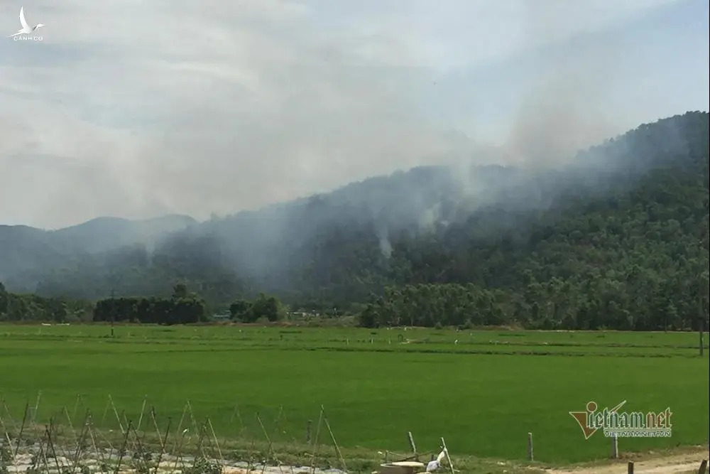 Hàng trăm người căng mình chữa cháy rừng ở Nghệ An