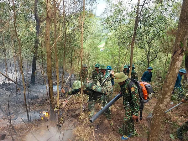 Lại thêm một vụ cháy rừng thông ở Diễn Châu
