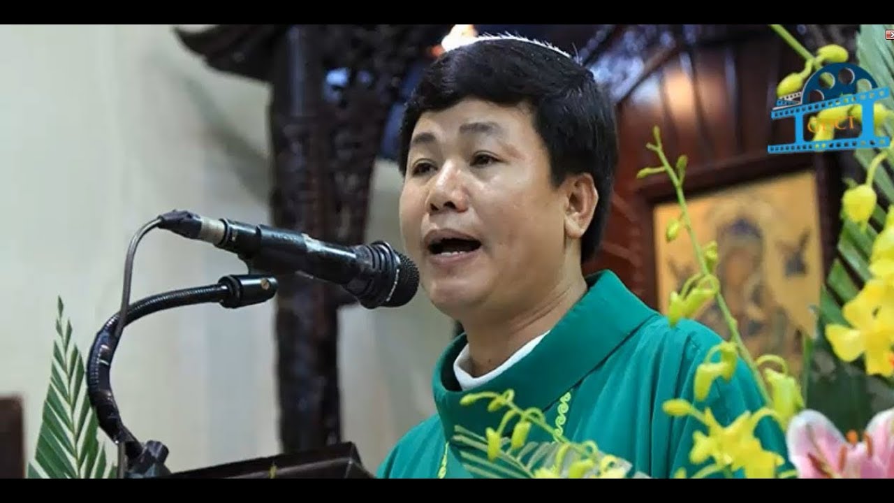 Lm Nguyễn Ngọc Nam Phong: Cố tình làm quên về dự luật đặc khu