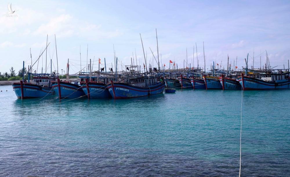 Quảng Nam, Đà Nẵng cấm tàu thuyền ra khơi khi siêu bão Rai sắp vào Biển Đông