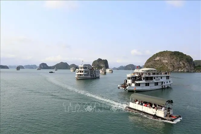 Ra mắt chuyên trang quảng bá du lịch Việt Nam dành cho khách quốc tế
