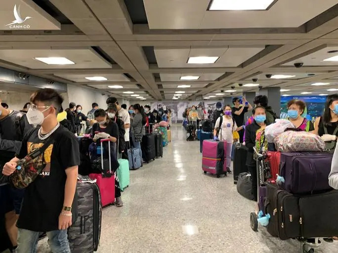 Tiếp tục đưa hơn 340 người Việt từ Hoa Kỳ về Nội Bài