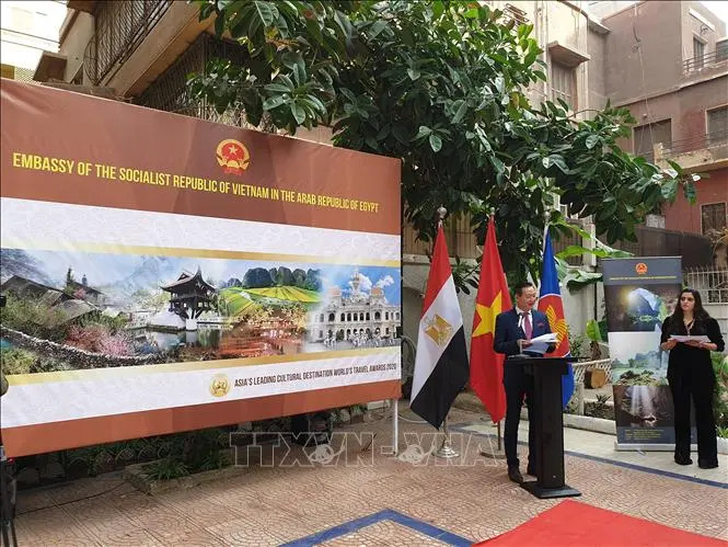 Xây đắp nhịp cầu văn hóa kết nối Việt Nam - Ai Cập