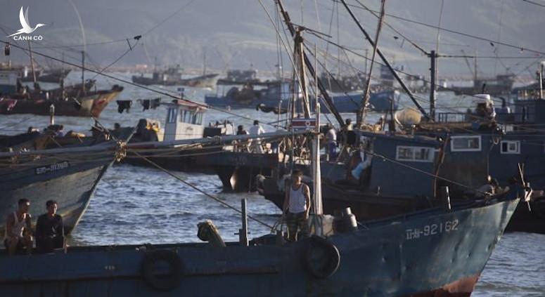 Bị tàu cá tấn công, tuần duyên Nga bắt 45 thủy thủ Triều Tiên