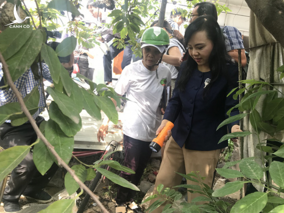 Bộ trưởng Nguyễn Thị Kim Tiến đến nhà dân.. ‘tìm bọ gậy’