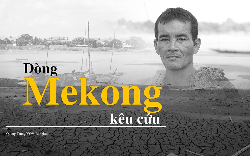 Dòng Mekong kêu cứu