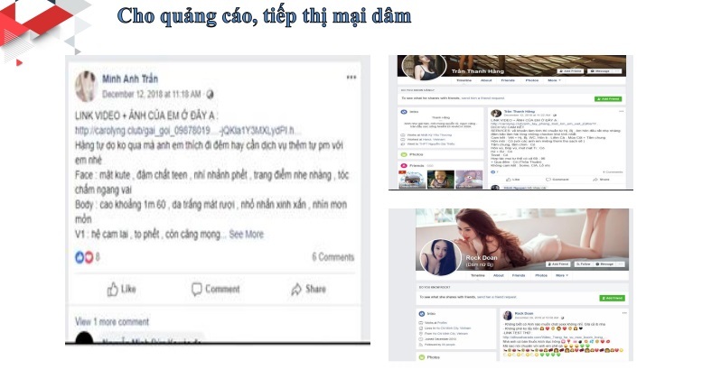 Facebook dung túng cho những hành vi phi pháp, phản động ở Việt Nam