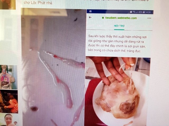 Lâm Đồng: Xử phạt người đăng tin 'khống' về thịt lợn nhiễm sán trên mạng xã hội