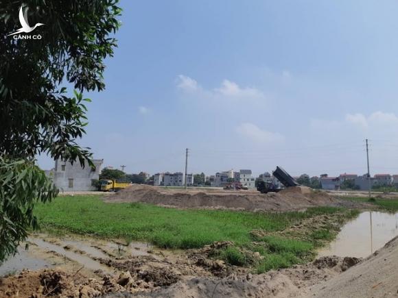 Nữ giám đốc trúng đấu giá 205 lô đất tại Bắc Ninh lên tiếng