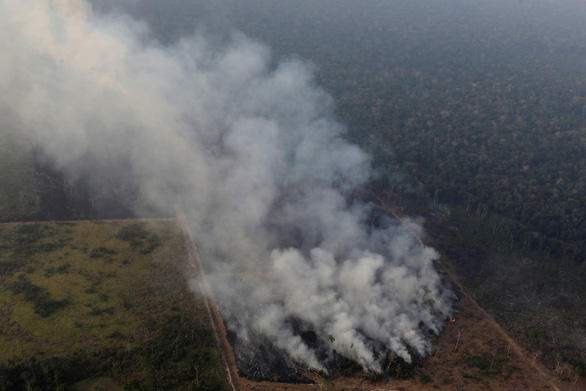 Tổng thống Brazil huy động quân đội dập tắt cháy rừng Amazon