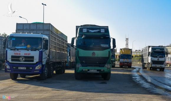 Xe tải chở gỗ dăm rồng rắn chờ vào cảng Dung Quất
