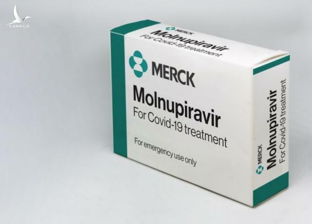 Bộ Y tế khuyến cáo những người này không nên sử dụng thuốc Molnupiravir?