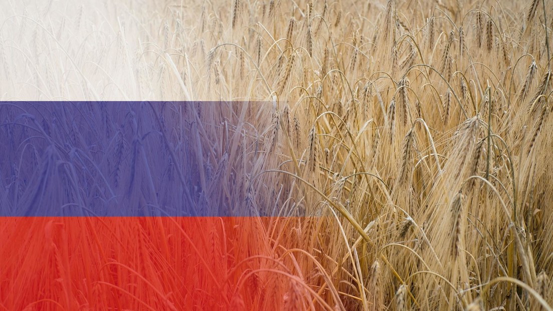 Corriere della Sera: Phát triển nông nghiệp của Nga là chiến thắng bí mật của Putin