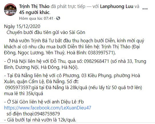 Chuyện bán bưởi của Trịnh Thị Thảo...