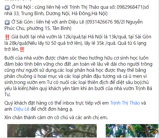 Chuyện bán bưởi của Trịnh Thị Thảo...