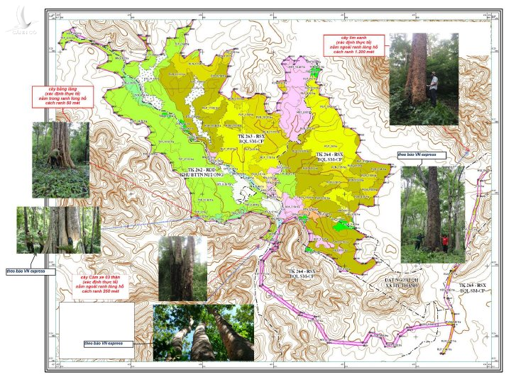 Đã rõ thực hư về “600 ha rừng bị phá làm hồ thủy lợi” ở Bình Thuận