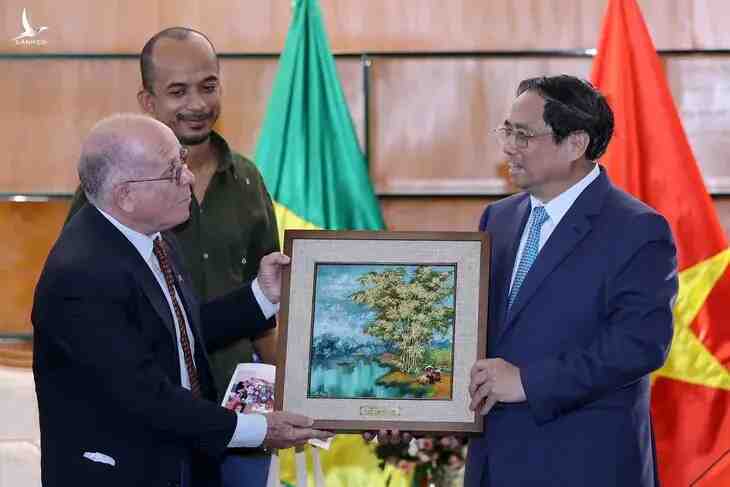 Lí do ngoại giao cây tre của Việt Nam truyền cảm hứng cho bạn bè Brazil